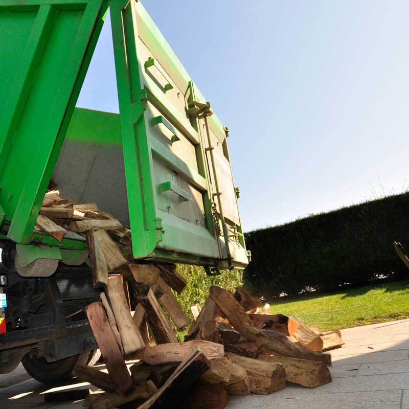 VECTOR - Testeur d'humidité pour bois - Accessoires pour pôeles et  cheminées à bois chauffage - Piskorski